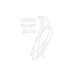 Торопкина Юлия